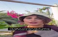 فیلم | پیام تبریک الناز شاکردوست به مناسبت شب یلدا