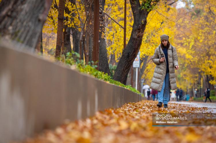 تصاویر باران پاییزی در اصفهان تصاویر باران پاییزی در اصفهان,عکس های باران پاییزی در اصفهان در آذر 1404,تصاویری از باران پاییزی در اصفهان
