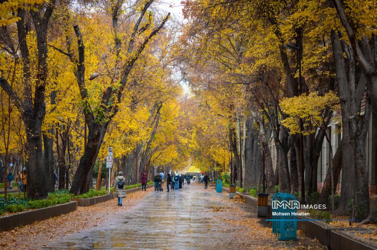 تصاویر باران پاییزی در اصفهان تصاویر باران پاییزی در اصفهان,عکس های باران پاییزی در اصفهان در آذر 1404,تصاویری از باران پاییزی در اصفهان