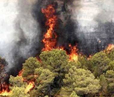 آتش سوزی جنگلهای هیرکانی,نابودی ایران