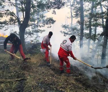 جنگل های هیرکانیعآتش سوزی جنگل ها در شمال ایران