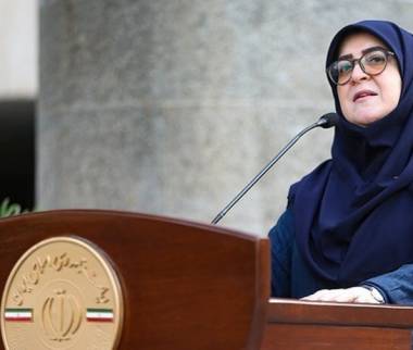 فاطمه مهاجرانی,سخنگوی دولت