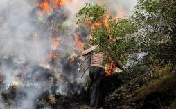 آتش سوزی جنگلهای هیرکانی,نابودی ایران