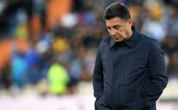 امیر قلعه‌نویی,اظهارات امیر قلعه‌نویی