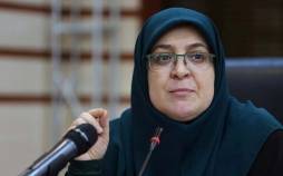 سخنگوی دولت,اظهارات سخنگوی دولت