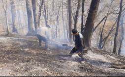 پایان حریق در جنگل‌های استان گلستان,گلستان