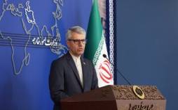 سخنگوی وزارت خارجه,اظهارات سخنگوی وزارت خارجه