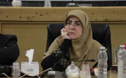 سخنگوی دولت: با طرح اصلاح قانون مهریه مخالفت کردیم سخنگوی دولت,اظهارات سخنگوی دولت