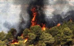 آتش در جنگل‌های کلاردشت,کلاردشت