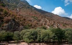 جنگل‌های مازندران,آش سوزی جنگل‌های مازندران