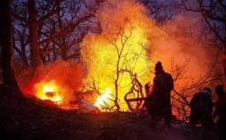 آتش سوزی جنگل‌های هیرکانی,اخبار آتش سوزی جنگل‌های هیرکانی