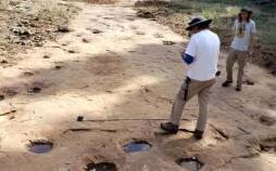 کشف دایناسور ۱۵۰ میلیونساله دایناسور,ردپای دایناسور