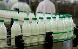 رئیس اتحادیه فرآوردههای لبنی: فقط در سه ماه ۱۳۰ درصد افزایش قیمت شیر داشته ایم شیر,صحبت های رئیس اتحادیه فرآوردههای لبنی درباره قیمت شیر