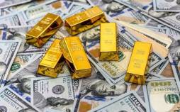 قیمت دلار سکه طلا,قیمت سکه طلا دلار در 1 آذر 1404