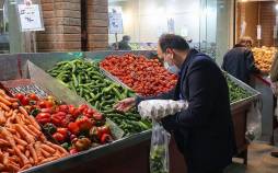 خیار، گوجهفرنگی و هویج گران شدند خیار,قیمت خیار