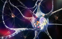 بیماری پارکینسون,کشف راهی برای شناسایی پارکینسون