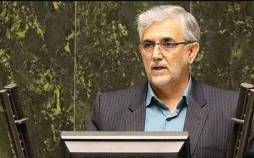 نماینده مجلس: تورم و گرانی یقه جامعه را گرفته است مهدی اسماعیلی,صحبت های نماینده مجلس درباره تورم و گرانی