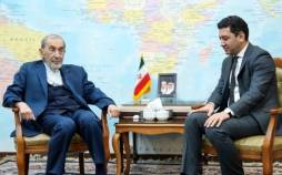 ولایتی,صحبت های ولایتی درباره طرح ترامپ برای قفقاز