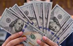 گرانی دلار ناشی از تحریم و بی ثباتی روابط خارجی است؛ دنبال جمشید بسم الله نگردید دلار,قیمت دلار