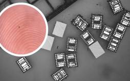 ربات,کوچک‌ترین ربات‌های جهان