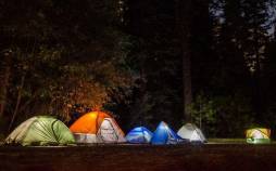 ممنوعیت اقامت شبانه گردشگران در جنگل‌های آمل,جنگل آمل