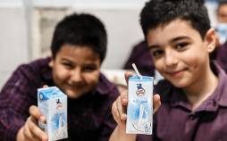 توزیع شیر در مدارس,شیر در مدارس دولتی