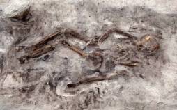 مقبره یک زن و سگش,کشف مقبرۀ 1100 سالۀ زن و سگش