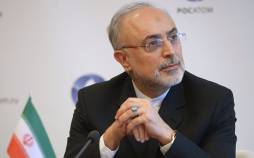 علی‌اکبر صالحی,پیشنهاد کلیدی علی‌اکبر صالحی برای مذاکره ایران و آمریکا