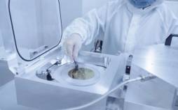 ربات,کنترل ربات ها با مغز