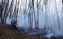 آتش گرفتن جنگل های شمال,برخورد امنیتی با آتش‌سوزی در ایران