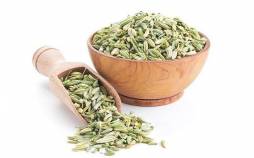 رازیانه,اثر مصرف رازیانه بر روی خونریزی قاعدگی