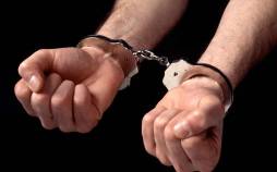 بازداشت بازیگران در یک مهمانی,تکذیب بازداشت برخی از بازیگران در یک مهمانی