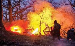 آتش سوزی‌های جنگل,عمدی بودن آتش سوزی‌های جنگل در شمال ایران