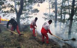 جنگل های هیرکانیعآتش سوزی جنگل ها در شمال ایران