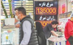 بازار مرغ,قیمت مرغ