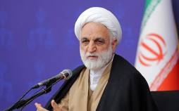 محسنی اژه ای,رئیس قوه قضاییه