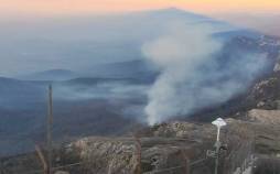 جنگل‌های درازنو,آتش گرفتن جنگل‌های درازنو