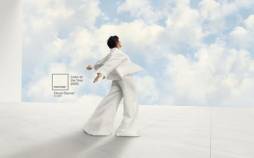 رنگ سال 2026,واکنش‌ها به انتخاب رنگ سال 2026