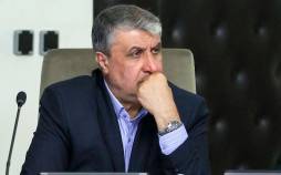 محمد اسلامی,رئیس سازمان انرژی اتمی