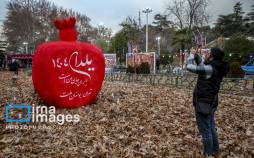 تصاویر جشنواره نور در یلدای ایرانی,عکس های جشنواره نور در یلدای ایرانی در آذر 1404,تصاویری از جشنواره نور در یلدای ایرانی در تهران