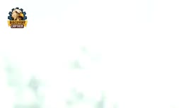 فیلم | فرآیند تولید درخت های کریسمس مصنوعی در آمریکا