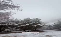 فیلم | بارش برف در کوه صفه اصفهان (آذر 1404) فیلم | بارش برف در کوه صفه اصفهان (آذر 1404)