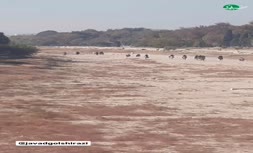 فیلم | تبدیل زاینده‌رود به پیست اسب‌سواری