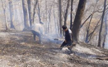 پایان حریق در جنگل‌های استان گلستان,گلستان