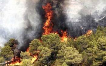 آتش سوزی جنگلهای هیرکانی,نابودی ایران