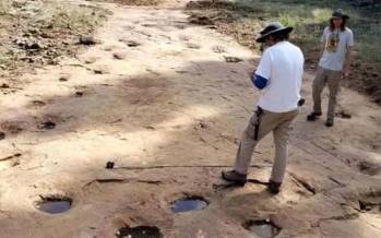 دایناسور,ردپای دایناسور