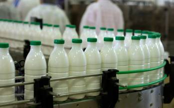 شیر,صحبت های رئیس اتحادیه فرآورده‌های لبنی درباره قیمت شیر