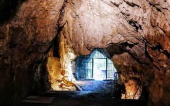 انسان نئاندرتال,شش انسان نئاندرتال