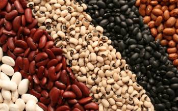 لوبیا,قیمت لوبیا