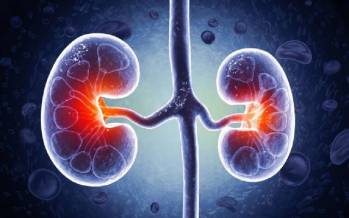 نارسایی کلیه,داروهای گیاهی منجر به نارسایی کلیه